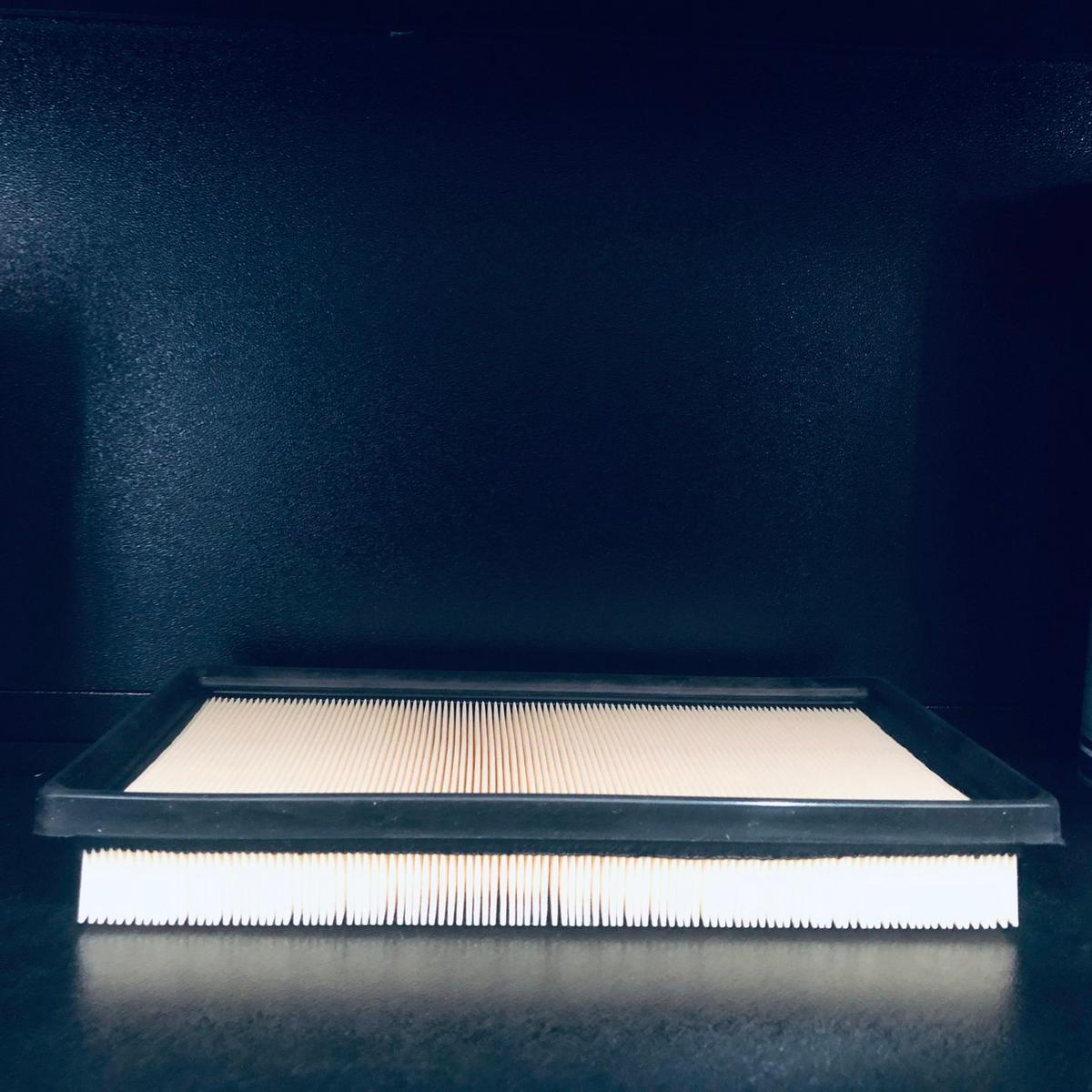 AIR FILTER CHR NGX50- VIC JAPAN